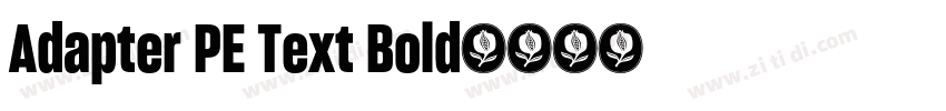 Adapter PE Text Bold字体转换